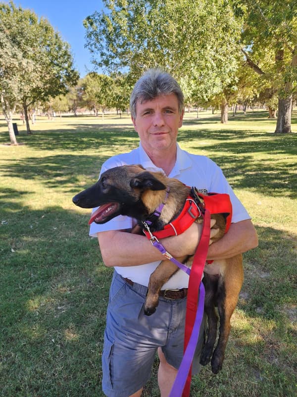 Customer photo of Belgian Malinois puppy from Ed H.