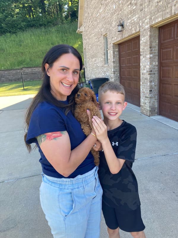 Customer photo of Poodle, Toy puppy from Natalie A.