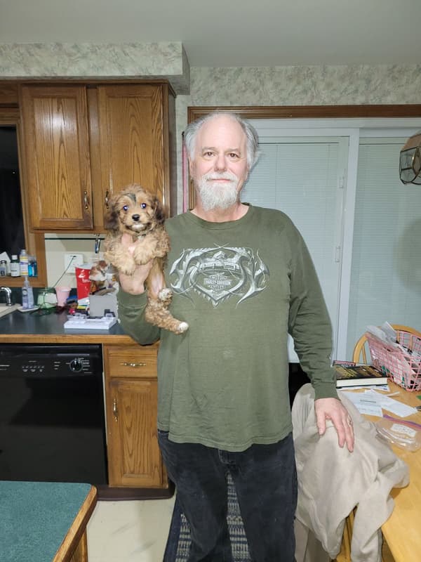 Customer photo of Cavapoo puppy from Barb M.