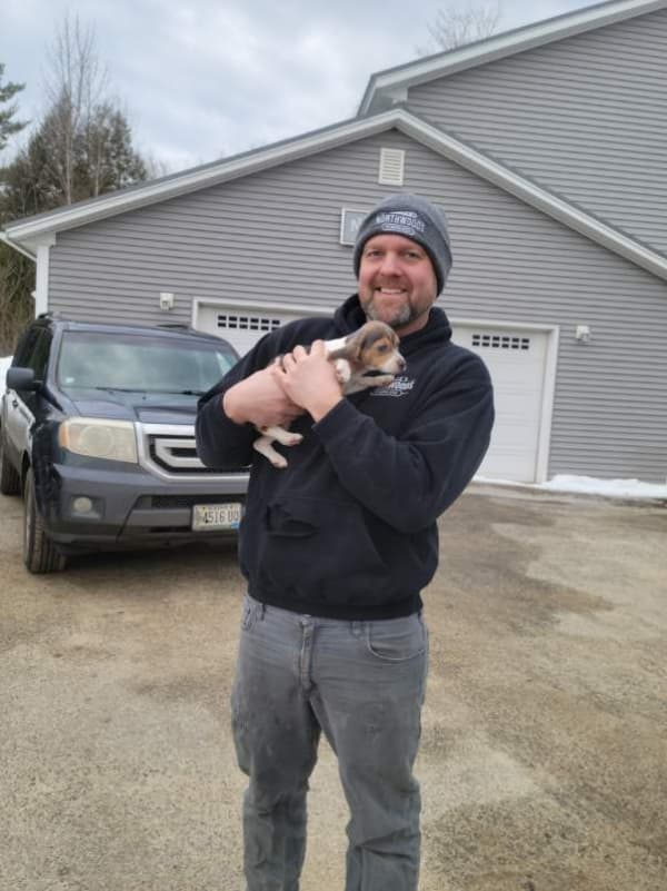 Customer photo of Beagle puppy from Robert T.