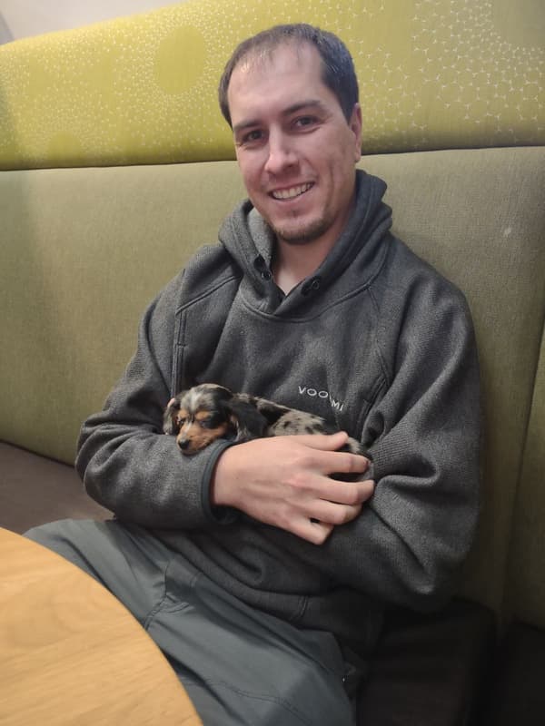 Customer photo of Dachshund, Mini puppy from Jake O.