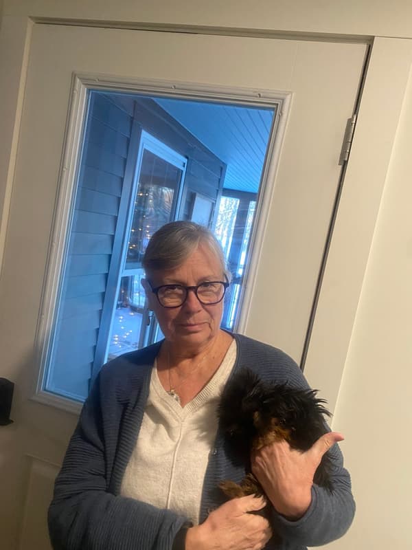 Customer photo of Yorkshire Terrier - Yorkie puppy from James F.