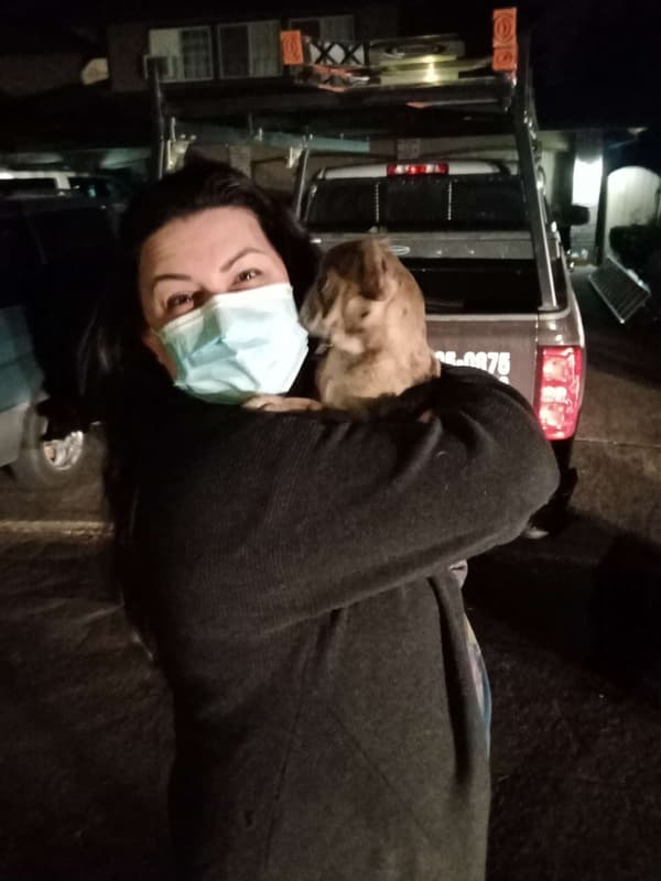 Customer photo of French Bulldog puppy from Heather H.