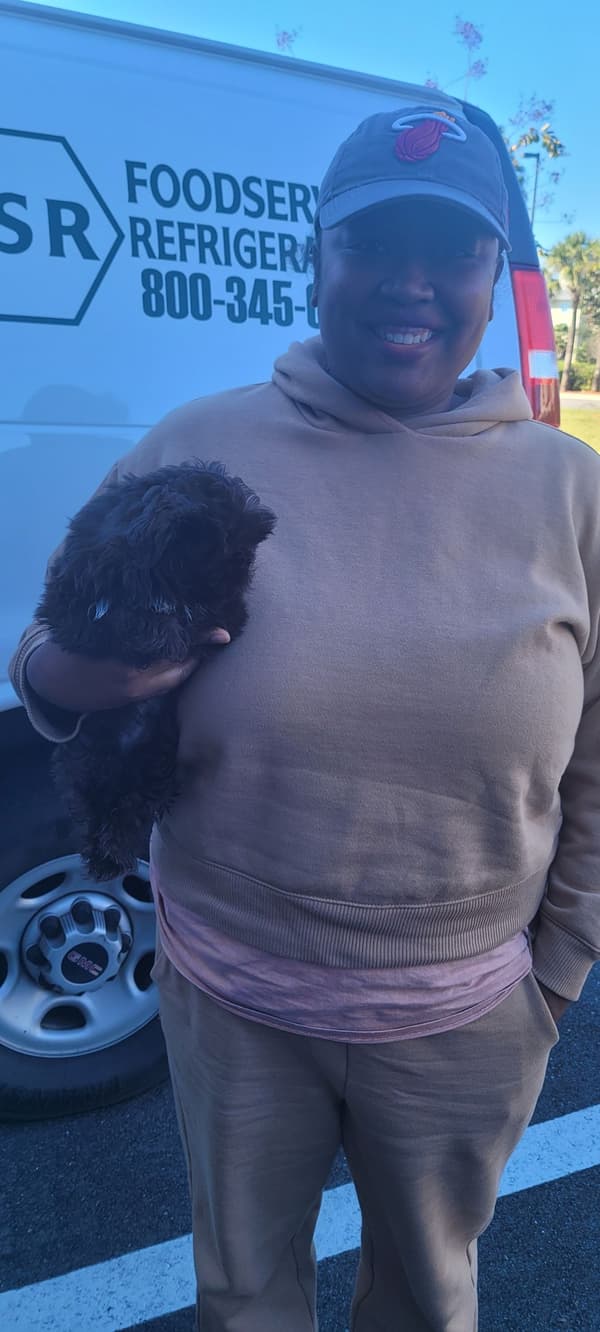 Customer photo of Shih Tzu puppy from Kris S.