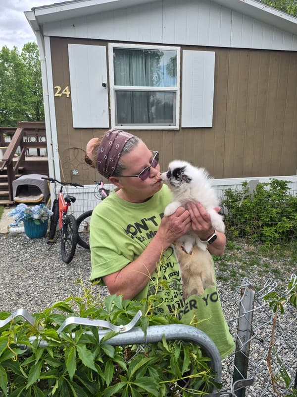 Customer photo of Pomeranian puppy from Tami B.