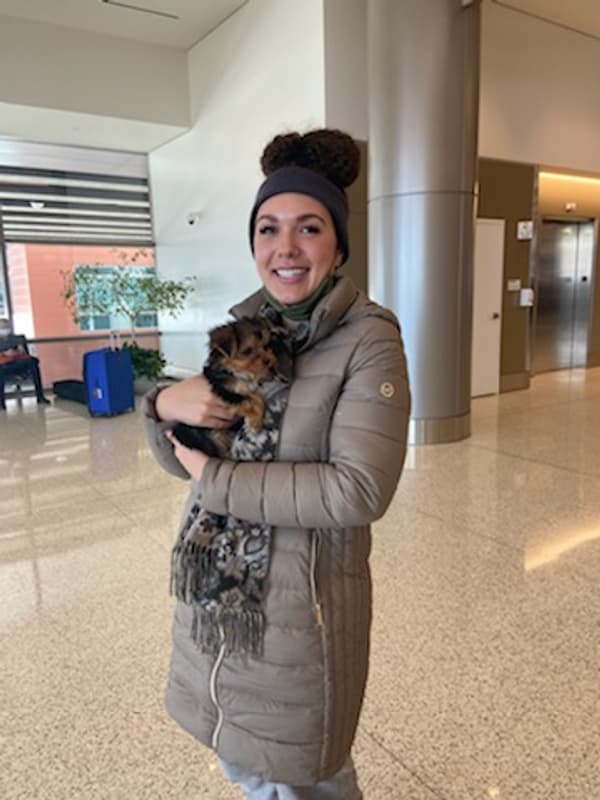 Customer photo of Morkie / Yorktese puppy from Aspen J.