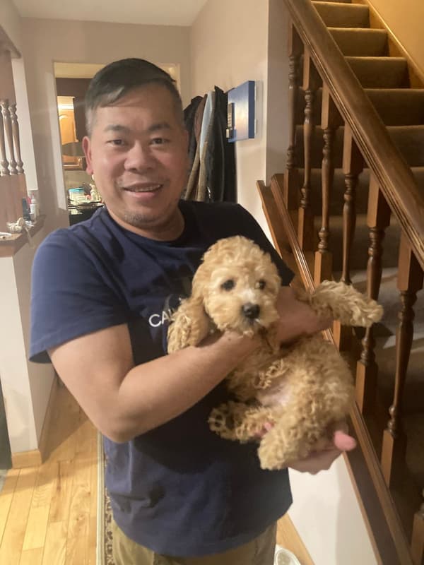 Customer photo of Cockapoo puppy from HungQuoc B.