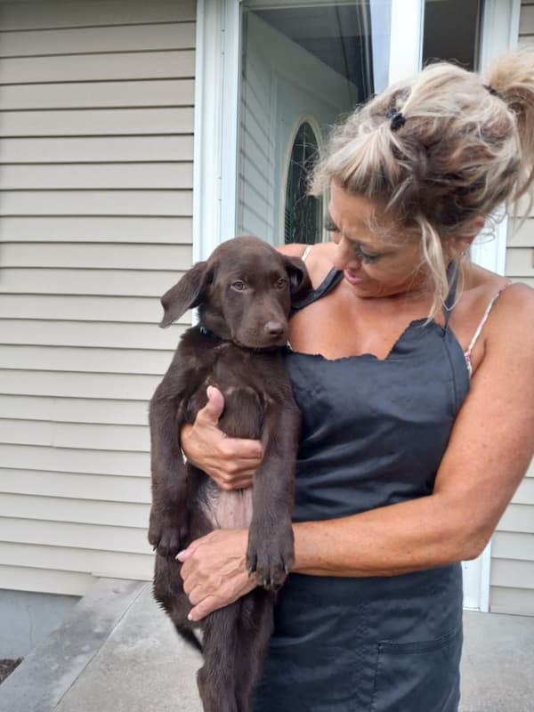 Customer photo of Labrador Retriever puppy from Cathy D.