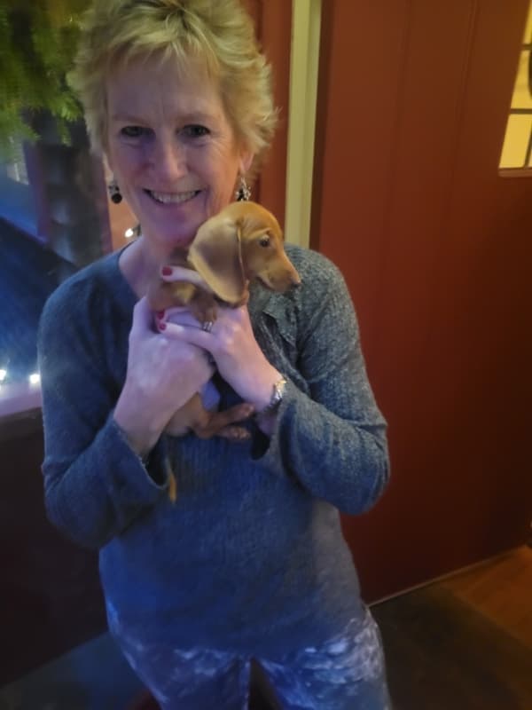 Customer photo of Dachshund, Mini puppy from Cynthia M.