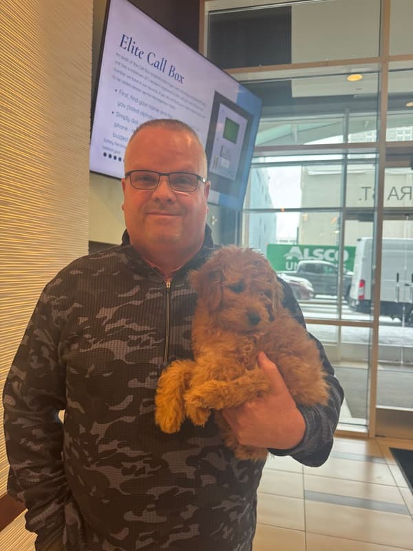 Customer photo of Goldendoodle, Mini puppy from Christopher G.