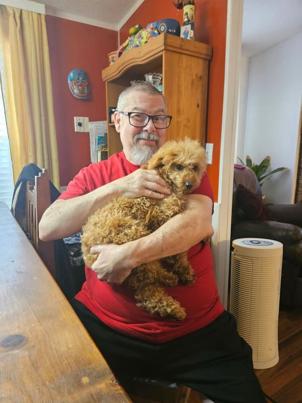 Customer photo of Poodle, Miniature puppy from Tony M.