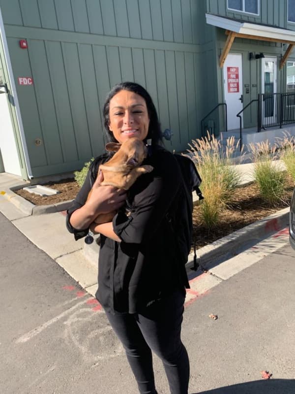 Customer photo of French Bulldog puppy from Jeanette B.