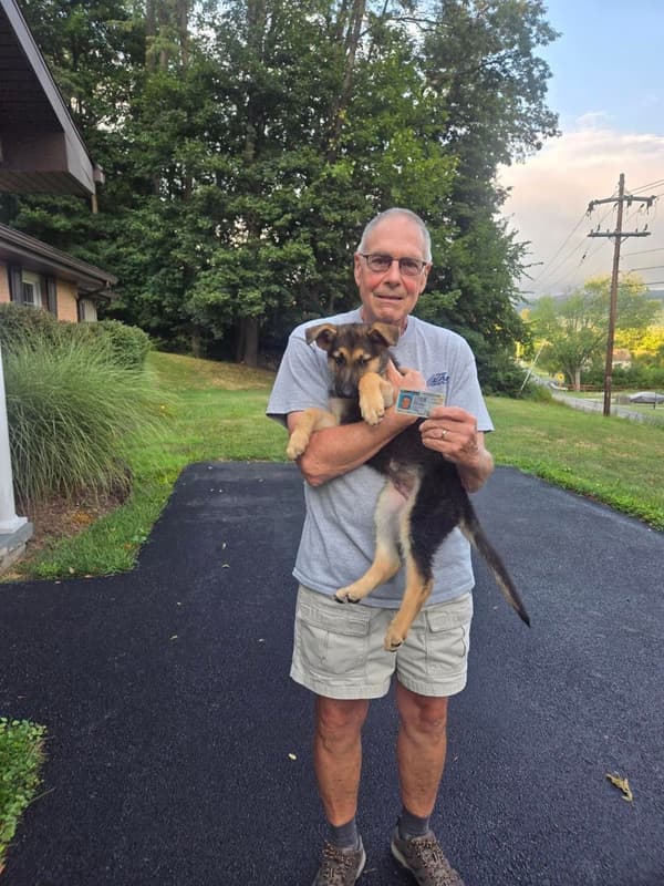 Customer photo of German Shepherd puppy from Peter F.