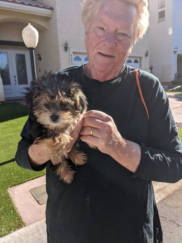 Customer photo of Morkie / Yorktese puppy from Michael K.