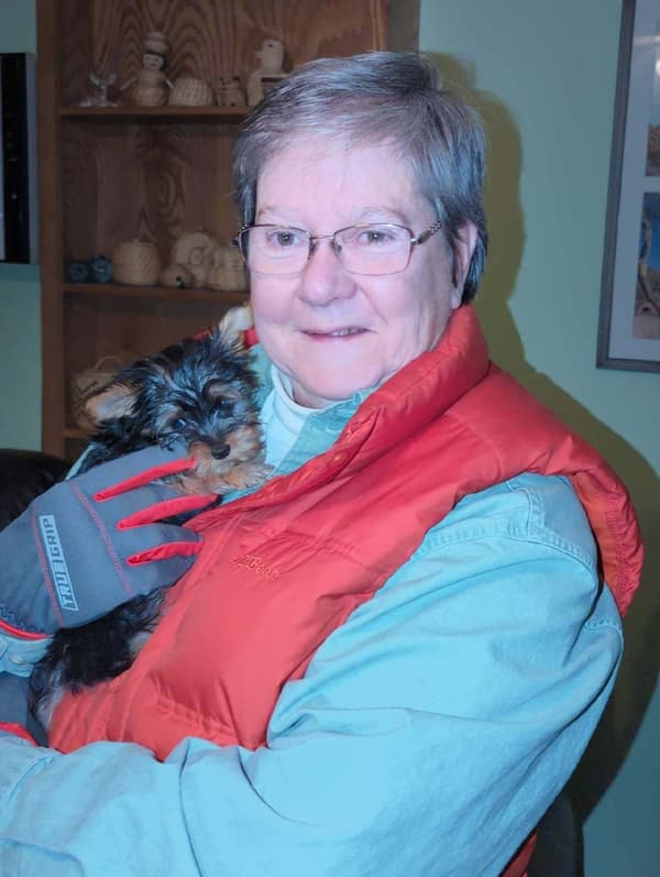 Customer photo of Yorkshire Terrier - Yorkie puppy from Kathy M.