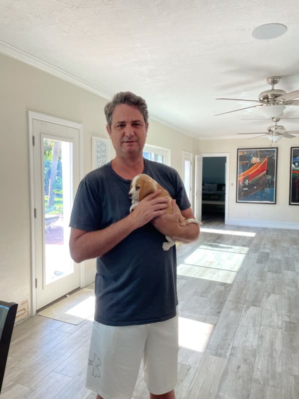 Customer photo of Beagle puppy from Andy G.