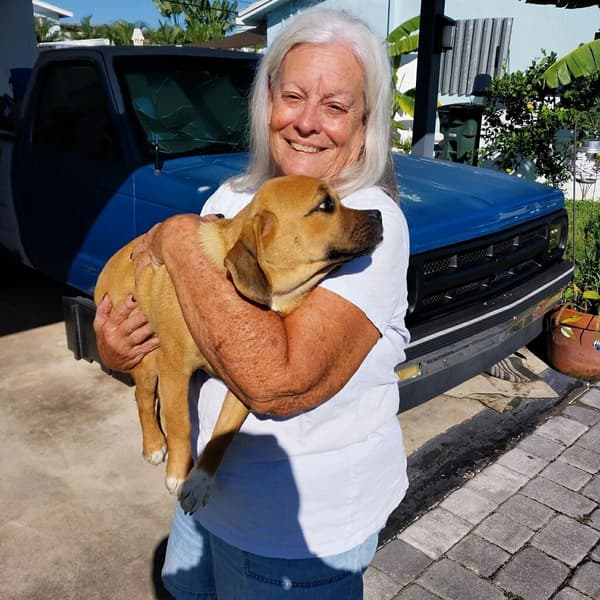 Customer photo of Puggle puppy from Michele B.