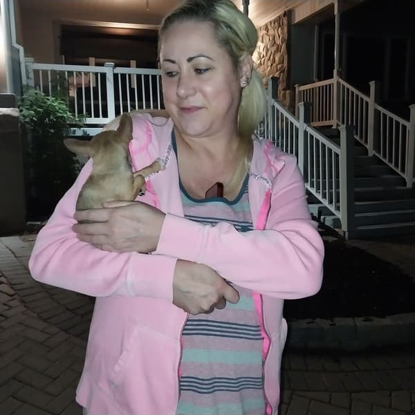 Customer photo of Chihuahua puppy from Kristibella B.