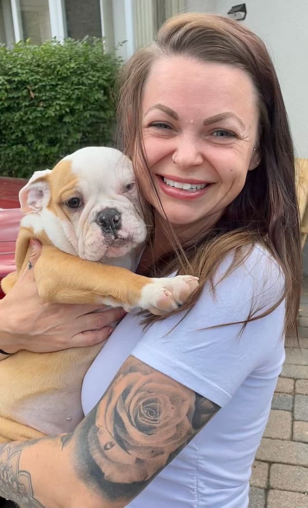 Customer photo of English Bulldog puppy from Brandy N.
