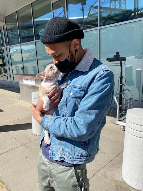 Customer photo of Frenchton puppy from Justin S.