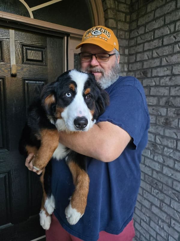 Customer photo of Bernese Mountain Dog puppy from Jeff R.