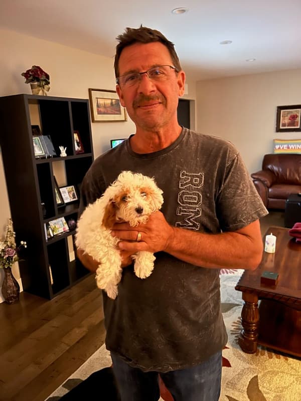 Customer photo of Cavapoo puppy from Kimberlee T.