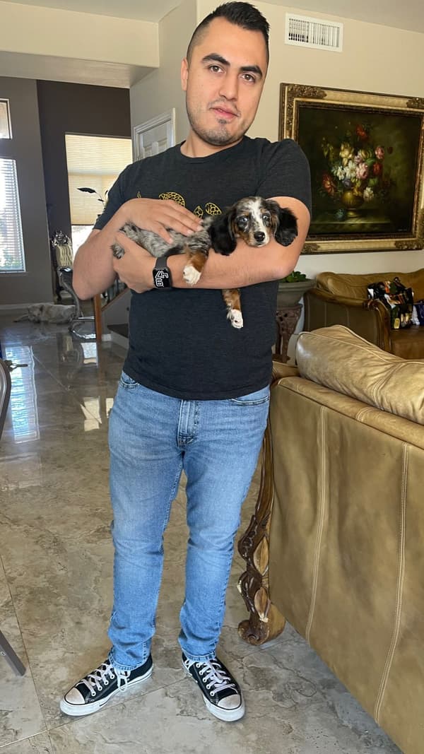 Customer photo of Dachshund, Mini puppy from Ramiro R.