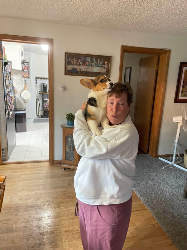 Customer photo of Corgi, Pembroke Welsh puppy from Mary M.