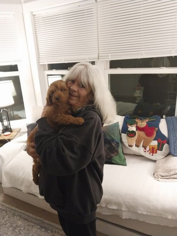 Customer photo of Goldendoodle, Mini puppy from Georgie B.