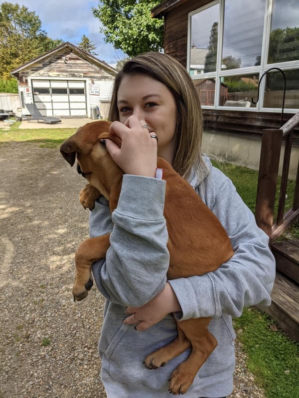 Customer photo of Cane Corso Mastiff puppy from Christian P.