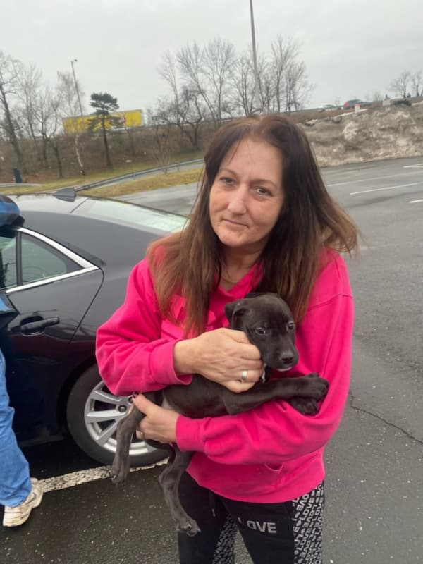 Customer photo of American Pit Bull Terrier puppy from Allen M.