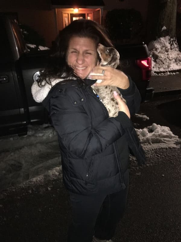 Customer photo of Dachshund, Mini puppy from Liz F.