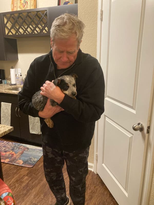 Customer photo of Australian Cattle Dog/Blue Heeler puppy from John N. 