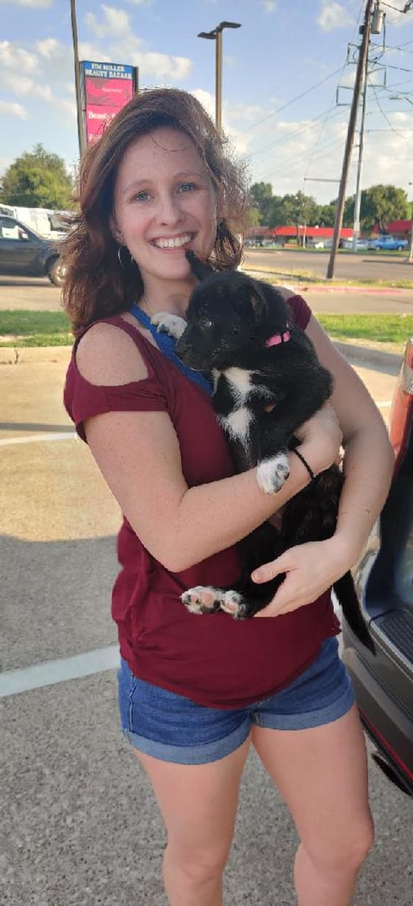 Customer photo of Mixed/Other puppy from Becca B.