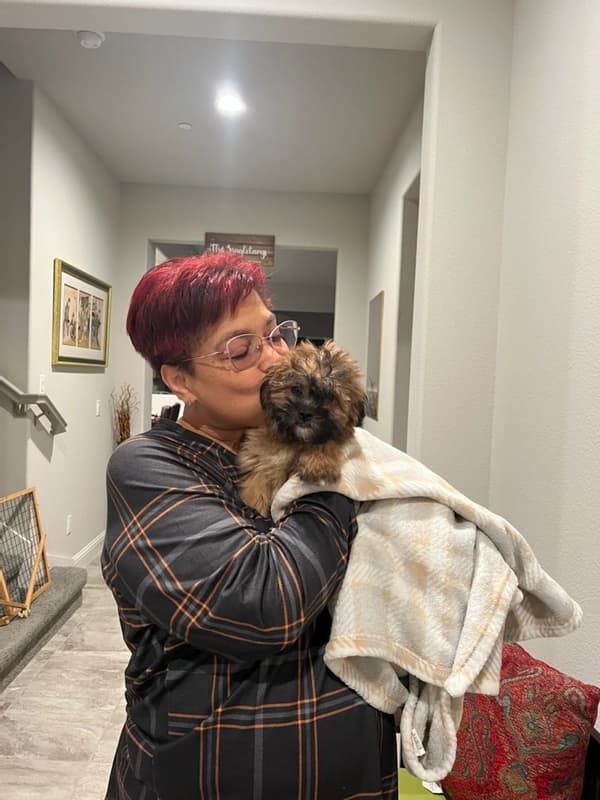 Customer photo of Shichon puppy from DeJuan S.