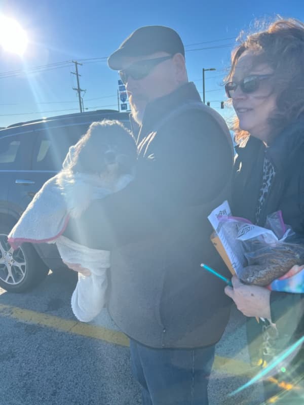 Customer photo of Shih Tzu puppy from Pamela P. 