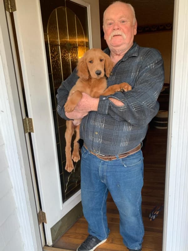 Customer photo of Goldendoodle puppy from Wayne B.