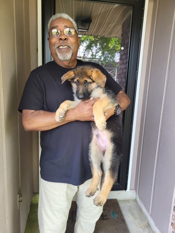 Customer photo of German Shepherd puppy from Michel P.