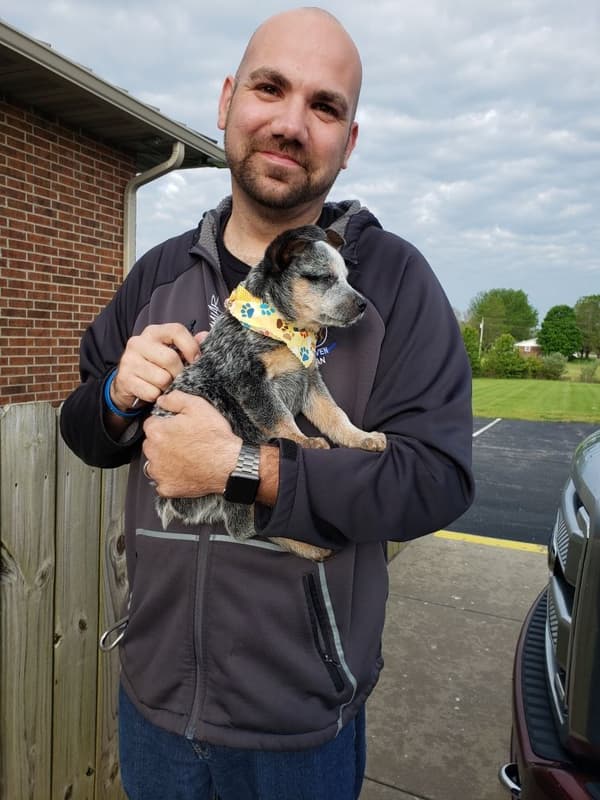 Customer photo of Australian Cattle Dog/Blue Heeler puppy from Joe S.