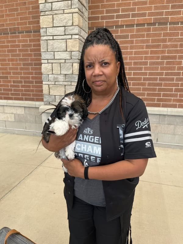 Customer photo of Shih Tzu puppy from Patricia P.