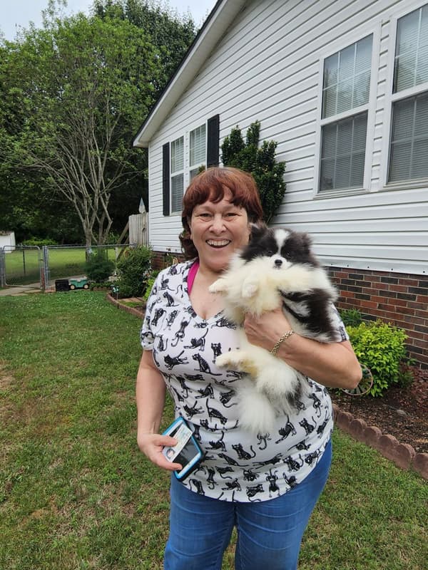 Customer photo of Pomeranian puppy from Zoe S.