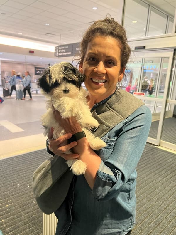 Customer photo of Morkie / Yorktese puppy from Carol T.
