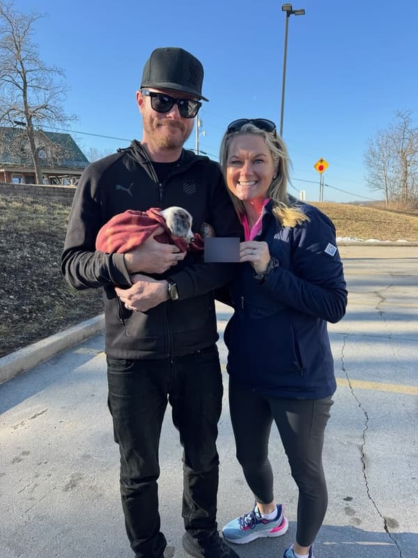 Customer photo of Dachshund, Mini puppy from Joshua S.