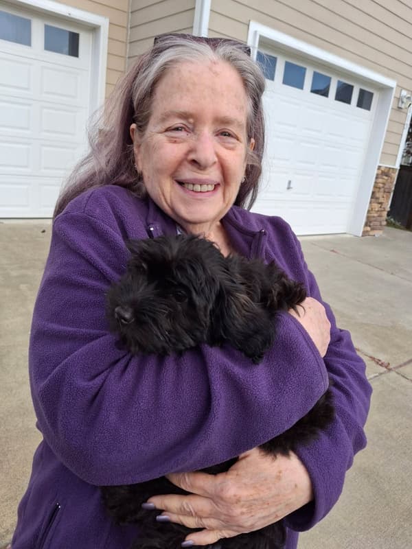 Customer photo of Havanese puppy from Robbyn F.