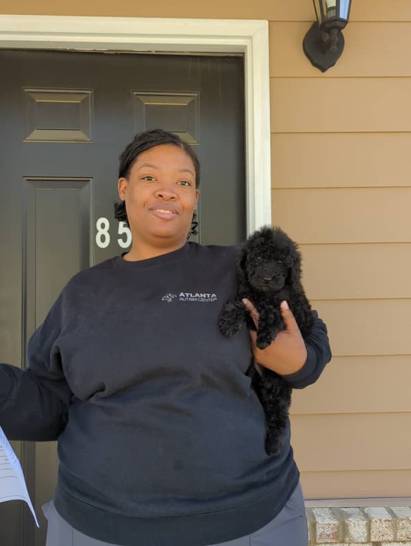 Customer photo of Poodle, Standard puppy from Avantai M.
