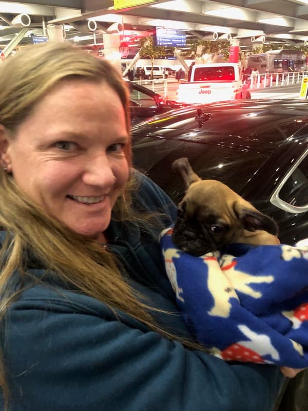 Customer photo of French Bulldog puppy from Dominique A.
