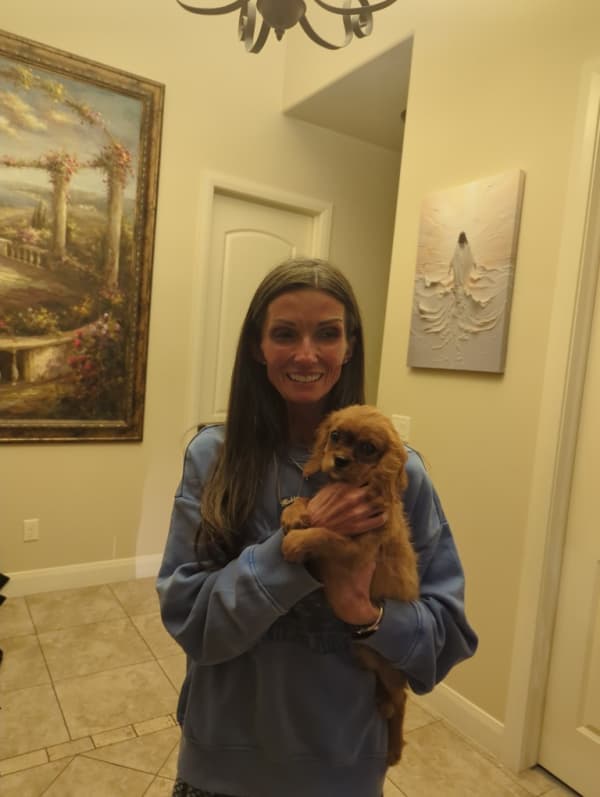 Customer photo of Cavalier King Charles Spaniel puppy from Robin K.