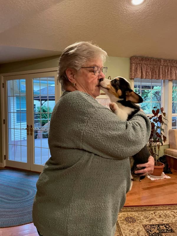 Customer photo of Corgi, Pembroke Welsh puppy from Barbara P.