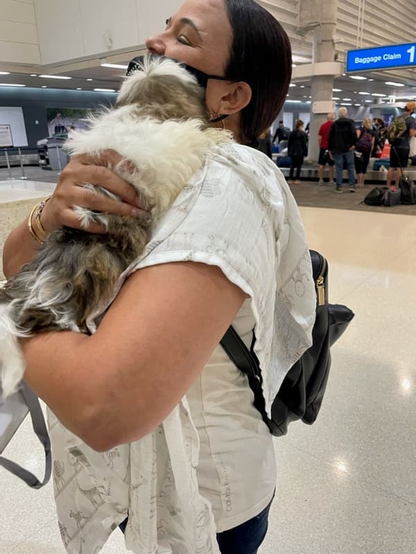 Customer photo of Shih Tzu puppy from Leonor C.