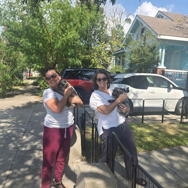 Customer photo of Cockapoo puppy from Vivian D.